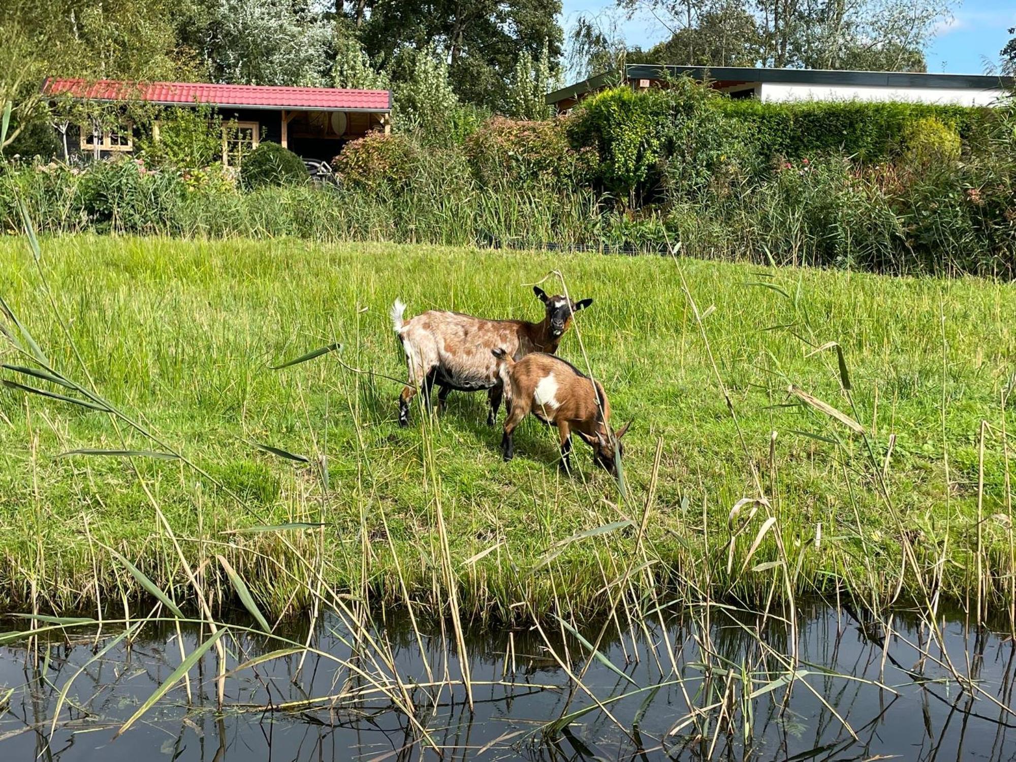 Huisje Op De Dijk Kortenhoef المظهر الخارجي الصورة