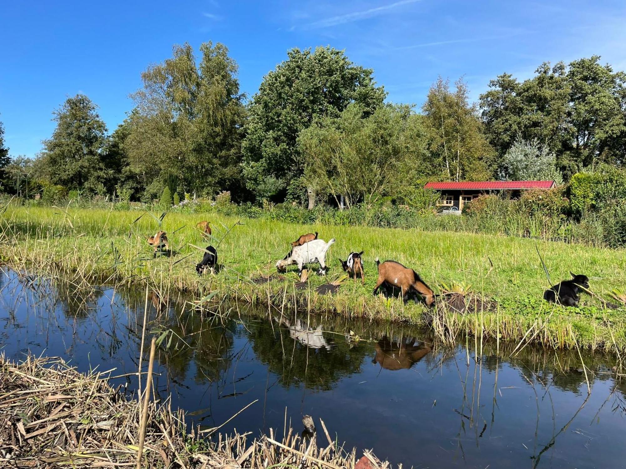 Huisje Op De Dijk Kortenhoef المظهر الخارجي الصورة